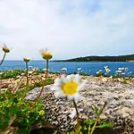 ホテル 6 Milje クサミル