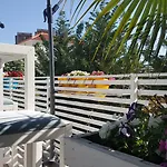 6 Milje 4*
